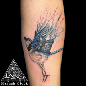 Tattoo by Lark Tattoo artist Hannah Clock.See more of Hannah's work: http://www.larktattoo.com/long-island-team-homepage/hannah-clock/#watercolor #watercolortattoo #watercolor #birdtattoo #bluejay #bluejaytattoo #tattoo #tattoos #tat #tats #tatts #tatted #tattedup #tattoist #tattooed #tattoooftheday #inked #inkedup #ink #tattoooftheday #amazingink #bodyart #tattooig #tattoosofinstagram #instatats  #larktattoo #larktattoos #larktattoowestbury #westbury #longisland #NY #NewYork #usa #art  