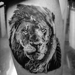 Lion tattoo done by Paul Saliba 