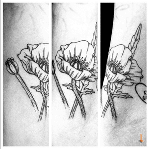 Nº158 Grandma's Poppy #tattoo #ink #flower #poppy #poppyflower #poppytattoo #nature #leaf #grandma #eternalink #cheyenne #cheyennepenhawk #bylazlodasilva