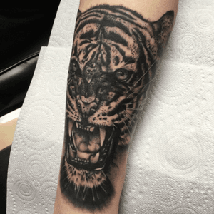 I tattooed this tiger head a while back #tigertattoo #Tattoodoapp #Tattoodo #tattooer #tattoo #tattoos #tiger #mattbacktattoo #blackandgreytattoo #newcastle #england #bng #blackandgrey 