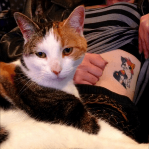My #cattoo 😻 outline taken from google, coloured to my kitties markings ❤️ #cattattoo #kitten #ribtattoo #ribs 