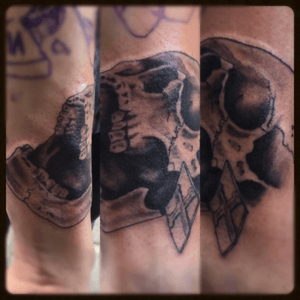#skull #tattoo #startofasleeve #workinprogress #realistic #wip #blackandgrey #blackandgreytattoo 