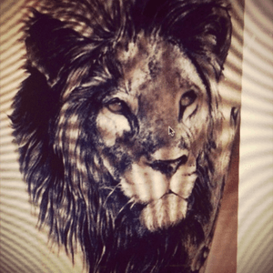 As a leo and animal lover I would love a tattoo of a lion with a sunflower next to the face. The sunflower is also a representation of leos and a beautiful flower #megandreamtattoo #lions #animallovers #foundthispictureonline #goals 