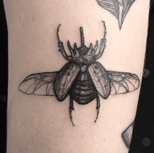Beetle ❤️