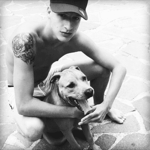 #Dog#Pitbull#TattooRose#BlackAndWhite#NowStartTheGame
