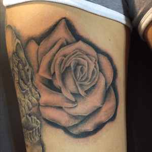 #510ink #rose #tattoo #rosetattoo #fresh 