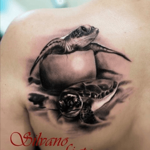 #seaturtles im in love with seaturtles and woukd love to get one on my lower left leg 