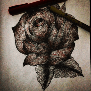 #rose #linework #flower #brazil #micron 