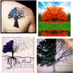 If i was lucky enough to win my #dreamtattoo from @amijames it isnt something i have a picture of because its a combination of the pictures above (except no words just the tree). I would love for it to be in the middle of my shoulder blades with the roots trailing down my spine delicately. tree in full fall bloom but half of it floating away as butterflies (not birds) and if those butterflies could delicately wrap forward towards my collarbone. Want it to be both strong yet soft/delicate and flow nicely. #mydreamtattoo #onlyinmyhead #beenwaitingsolongforanothertattoo #tobeastallandstrongasatree @tattoodo 