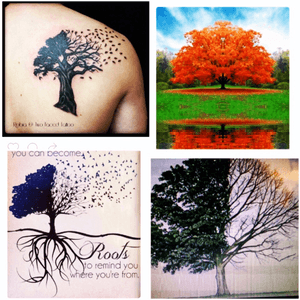 If i was lucky enough to win my #dreamtattoo from @amijames it isnt something i have a picture of because its a combination of the pictures above (except no words just the tree). I would love for it to be in the middle of my shoulder blades with the roots trailing down my spine delicately. tree in full fall bloom but half of it floating away as butterflies (not birds) and if those butterflies could delicately wrap forward towards my collarbone. Want it to be both strong yet soft/delicate and flow nicely. #mydreamtattoo #onlyinmyhead #beenwaitingsolongforanothertattoo #tobeastallandstrongasatree @tattoodo 