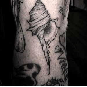 Black seashell done today! #seashelltattoo #seashell #oceantattoo #conchiglia #fillertattoo #blackwork #italiantattooer #dotwork #tattoo #tattooed #black #ink #fillertattoo 