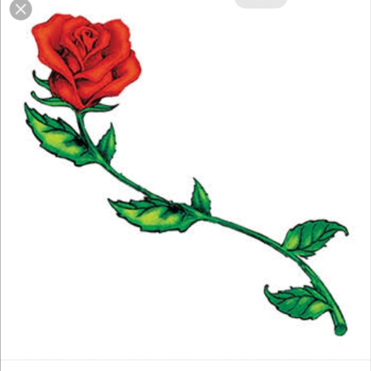 Tattoo uploaded by Dan Djordjevic • Adding 2 roses to have joined ...