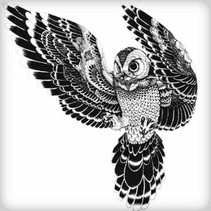 My next back piece! #owl #wisdom #backpiece #amijames #allidoiswin #detail #realistic #traditional #huge #awesome #amazing #epic #blackandwhitetattoo #crown #beautiful #design 