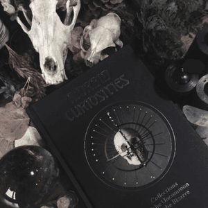 Collections of the Uncommon and the Bizarre • 🗡#morbidcuriosities #book #bizarrecollections #bones #animalskull #taxidermy #occult #criminalcollection #postmortem #photographs #LizMinelli #lizminellitattoo