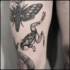 #totemica #tunguska #black #leaping #frog #toad #amphibian #tattoo #blackworkers #redcouchtattoo 