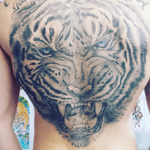 Better picture of my back #backpiece #tattoo #tattooed #tigertattoo #tiger 