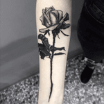 #tatoo #tattooed #tattooartist #tattooblack #tattooart #tatts #wipshading #rose #tattoorose #graphic #graphictattoo #graphictattoos 