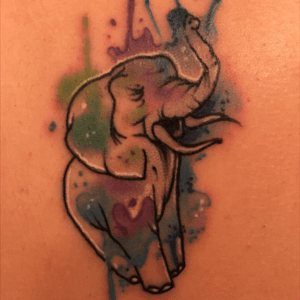 #elephant 