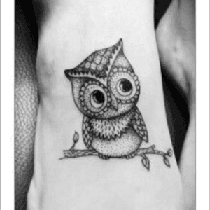 How cute is this one!! #owl #dreamtattoo #cute #loveit 