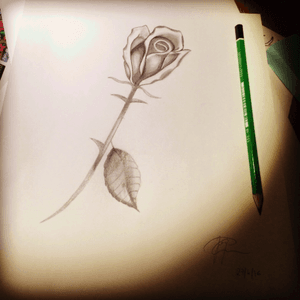 Just a rose#rose #roses #flower #flowers #drawing #blackAndWhite 