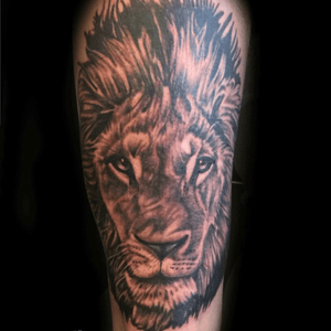 #tattoo #tattoos #thightattoo #lion #liontattoo #kingofthejungle #blackandgreytattoo #tattoodo #legtatoo 