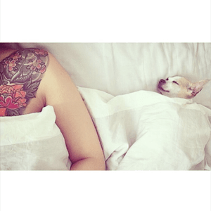 In bed with the baby #peony #chesttattoo #healing #swallow #asian #asiantattoo #ink #paris #handinglove #sakura #puppy #pet #colorful