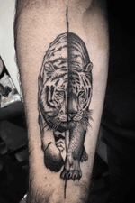 #tiger #tigertattoo #blackandgrey #black #animal #tattoos #akuma #yamatattoostudio #tattoodo #roma 