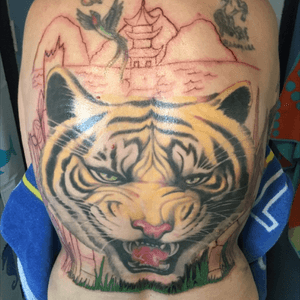 Adding to my back tiger tattoo