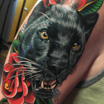 #panther and #roses 