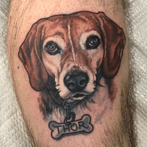 Memorial Tattoo of my dog Thor that passed this week. Now he can always walk with me wherever I go! Awesome job Michael White! #michaelwhite #thor #beagle #beagletattoo #memorial 