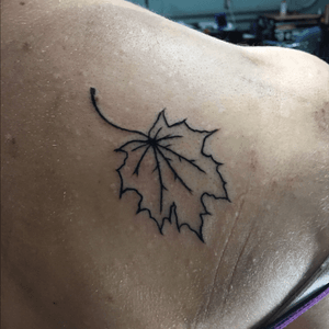 Week one #apprentice tattoo #leaf #fall 