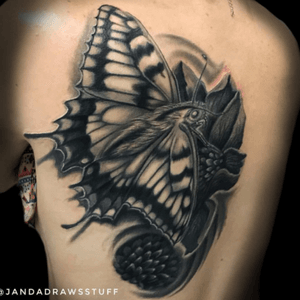 Awesome blackwork butterfly Janda! #blackwork #butterfly #janda