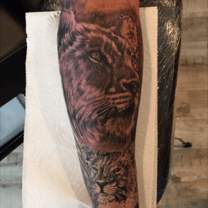 Added this #lioness to this #family inspired #sleeve I had a really fun time creating these pieces! Cant wait to finish off the sleeve! Done using @electrumstencilproducts @quickcaps @eternalink and @cheyenne_tattooequipment @hustlebutterdeluxe | #art | #artist | #artists | #draw | #drawing | #tattoo | #tattooing | #tattooer | #colorwork | #artistspotlight | #color | #colorrealistic | #colorrealism | #realism | #tattooartist | #eternalink | #f4f | #followforfollow | #ink | #tattoos | #artistspotlight | #laroseink | #electrumstencilprimer |