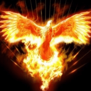 This phoenix bird would be an amazing tattoo for me. It would be even better if megan massacre did this tattoo on me❤️ she is an incredible tattoo artist! #megandreamtattoo