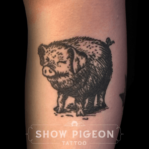 Some pig 🐷 #blackwork #charlottesweb #showpigeontattoo #evieyapelli 