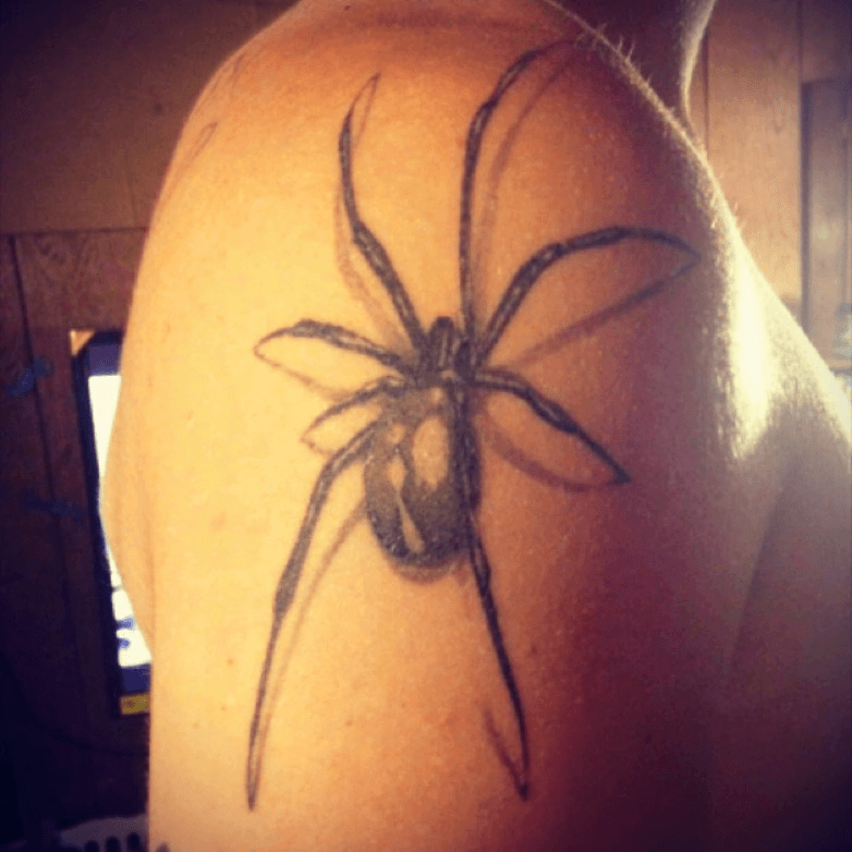 Got my favorite spider tattood last week and thought you guys might  appreciate it  rspiders