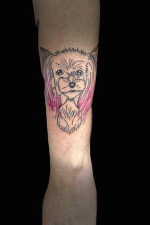 Drawn by Nicole Hudson tattooed by Misty Dawn Brothers great line drawing of my Abby. 
