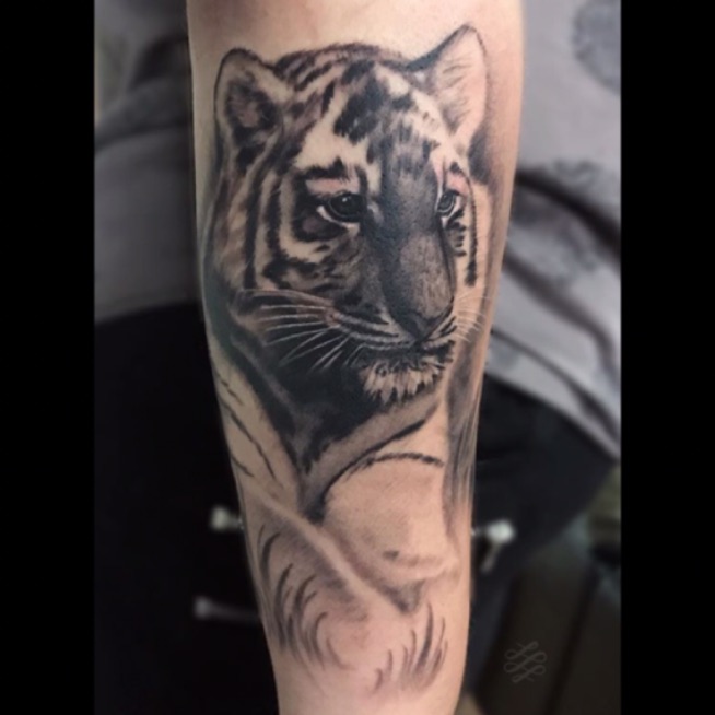 Tattoo uploaded by Lewis hazlewood • A tiger cub for Gemma from last month. #lewishazlewood #lewishazlewoodtattoo #staganddaggertattoo #somerset #uk #blackandgrey #blackandgreytattoo #blackandgray #blackandgraytattoo #bng #bngtattoo #tiger #tigercub ... Tattoo uploaded by Lewis hazlewood • A tiger cub for Gemma from last month. #lewishazlewood #lewishazlewoodtattoo #staganddaggertattoo #somerset #uk #blackandgrey #blackandgreytattoo #blackandgray #blackandgraytattoo #bng #bngtattoo #tiger #tigercub ...