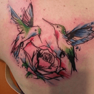 Watercolour hummingbirds with rose.