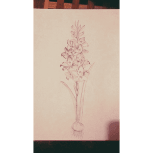 #megandreamtattoo #mydrawing #gladiolus #maybewithoutroots #delicate #flower #longstem 