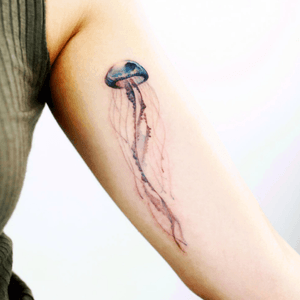 #tattooistdoy#jellyfish#fish 