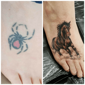#coverup #horse 