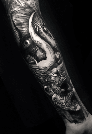 Sleeve completion 