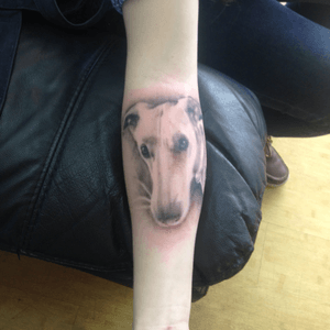 First tattoo of dog that I had who got shot by a farmer in the woods of Maine. 