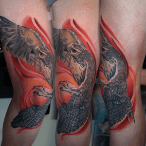 #Hawk on my knee done by mihails neverovs #giahi 