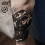 #snake #realistic #balckandgrey #tattoo 