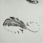 #feather #bird #blackbird #infinity #blackandgray 