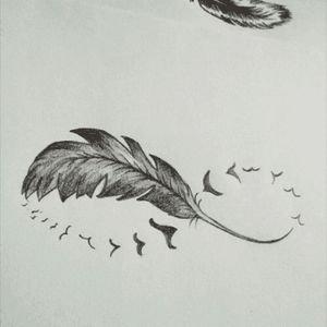 #feather #bird #blackbird #infinity #blackandgray 