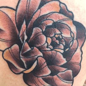 Muted rose from today! 