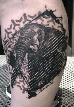 Done by Bertina Rens - Resident Artist.                        #tat #tatt #tattoo #tattoos #amazingtattoo #ink #inked #inkedup #amazingink #elephant #elephanttattoo #elephants #dot #dotwork #dotworktattoo #blackandgrey #tattoolovers #art #culemborg #netherlands